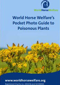 cover of poisonous plant guide leaflet