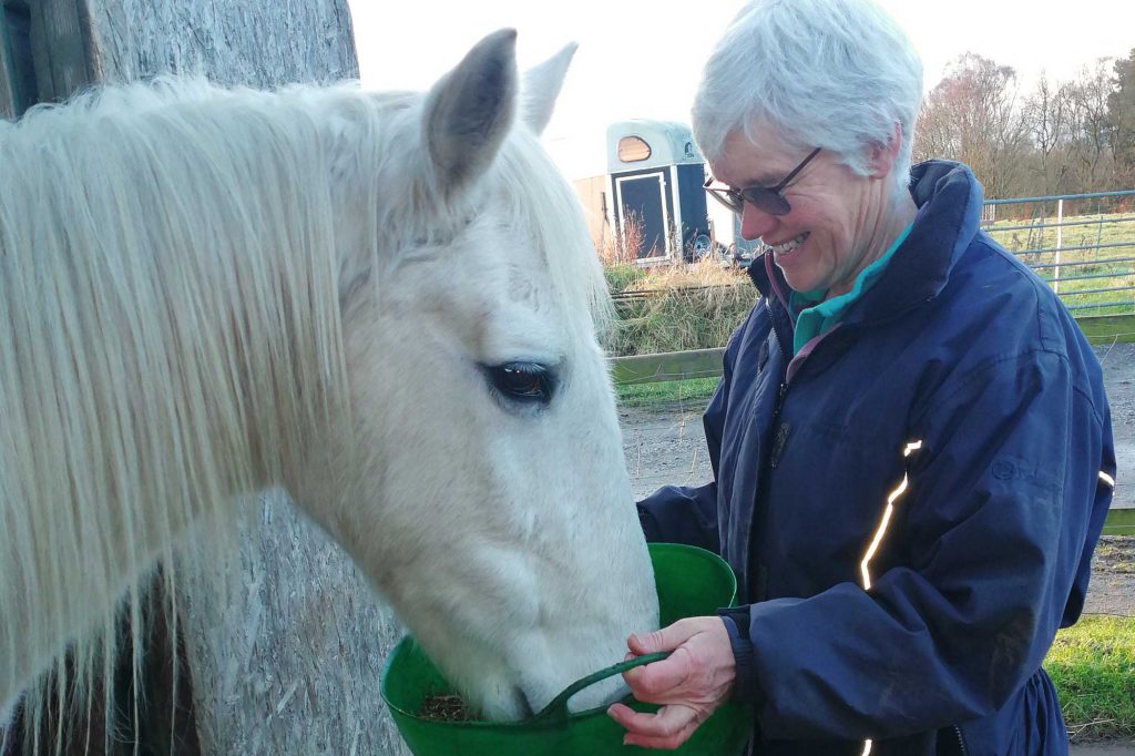 Grey pony being fed from green bucket