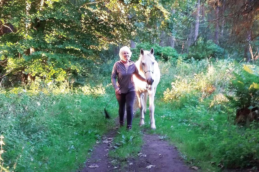 Grey pony and handler walking through wood