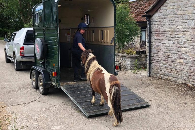 Preparation and practice: key aspects to loading and travelling your horse safely
