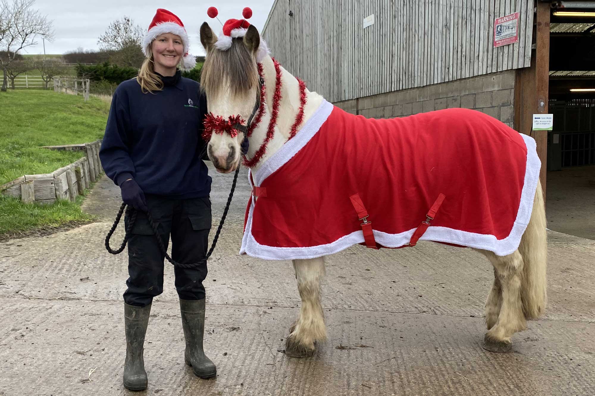 Our ponies have a Christmas message for you!