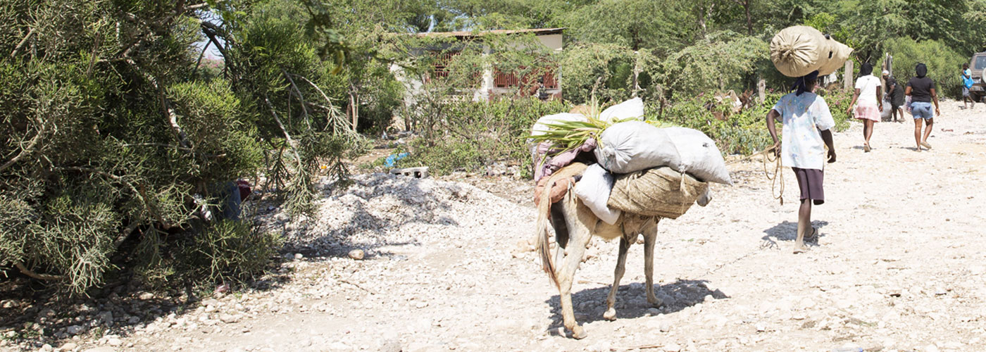 Haiti-letterbox (1)