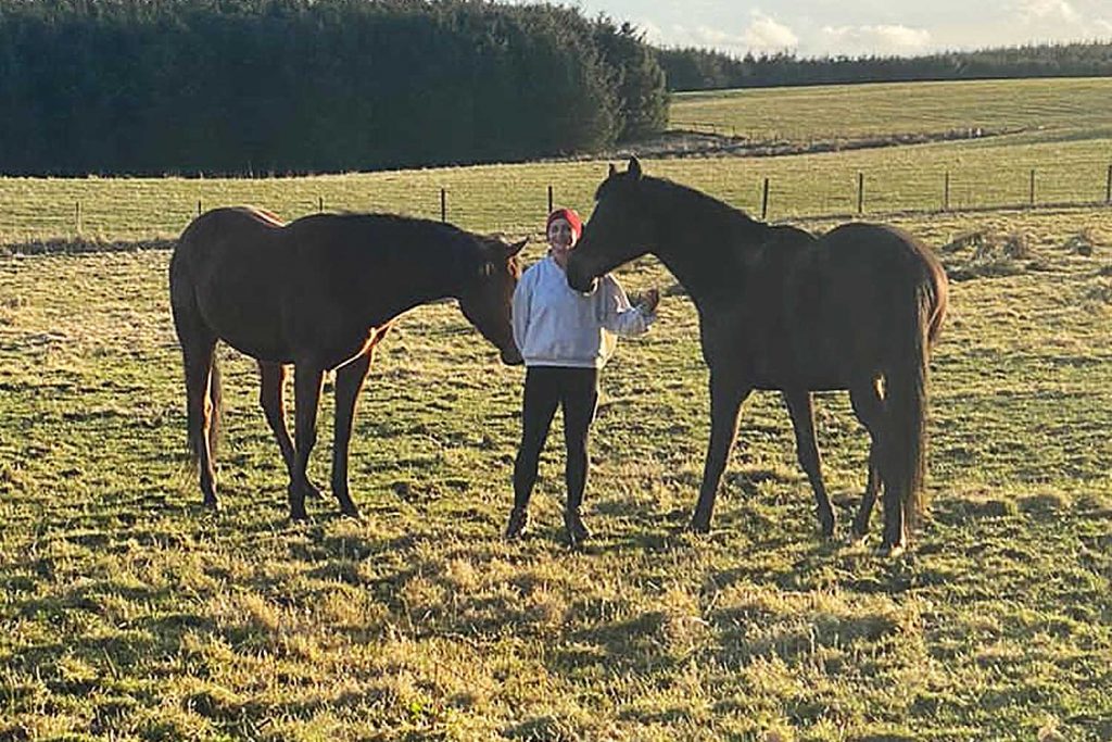 Two bay horses in a field with their owner