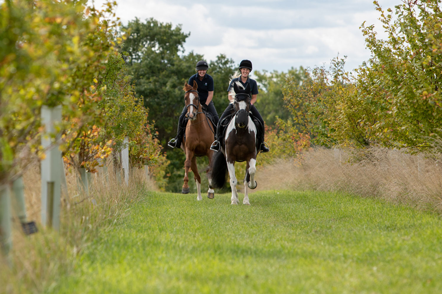 Tacking up behaviours