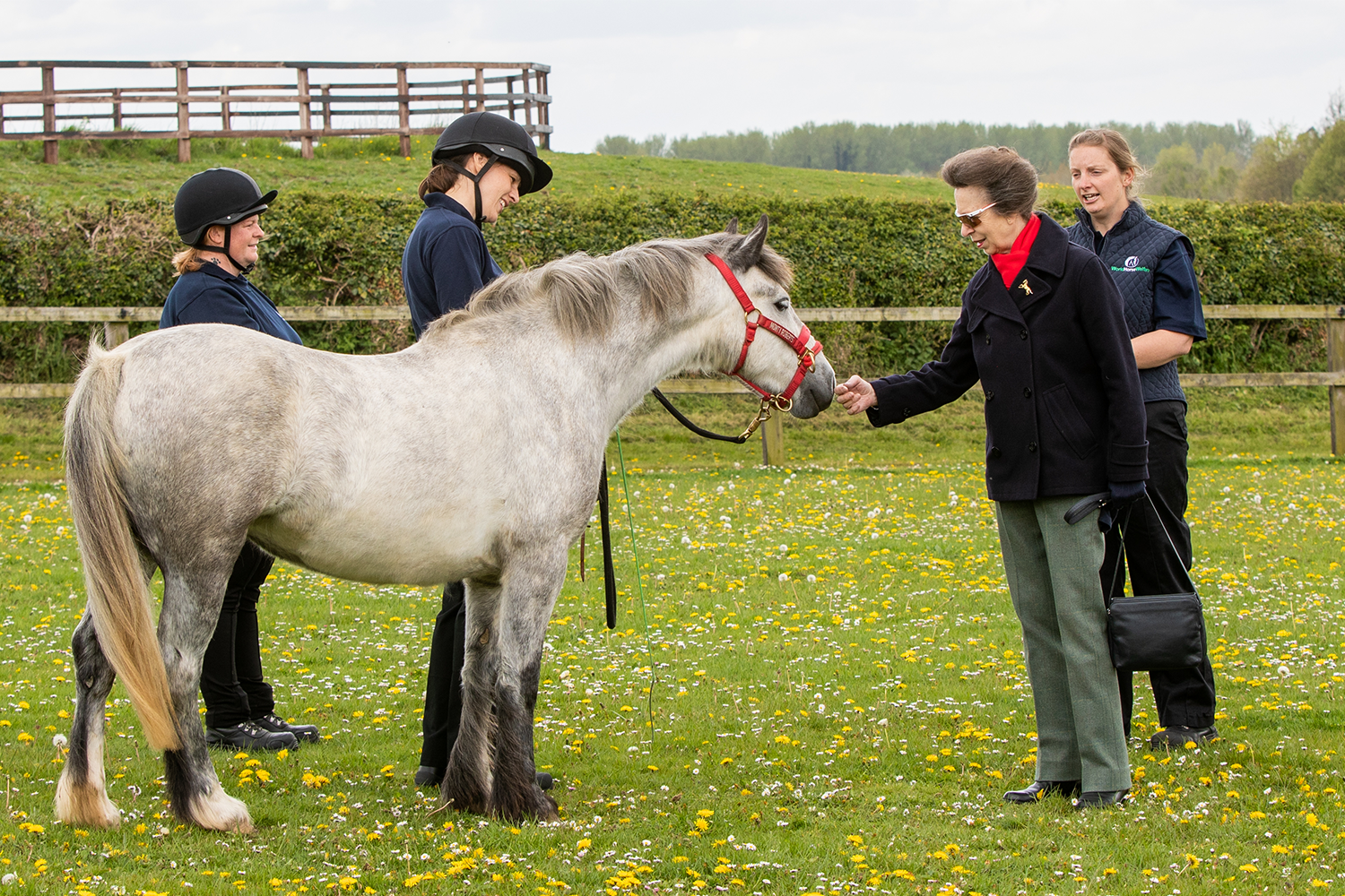 Royal President visits World Horse Welfare in Norfolk