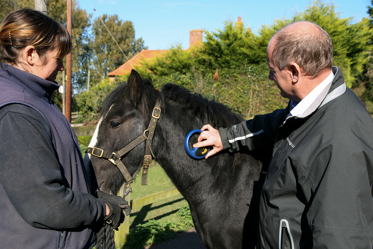 World Horse Welfare delivers evidence integral to improving welfare of post-Brexit international transport of horses