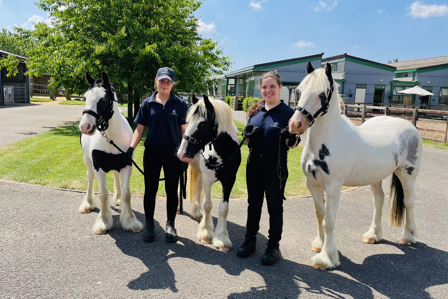 Rescue cobs are in possession of rather “Austen-tatious” names