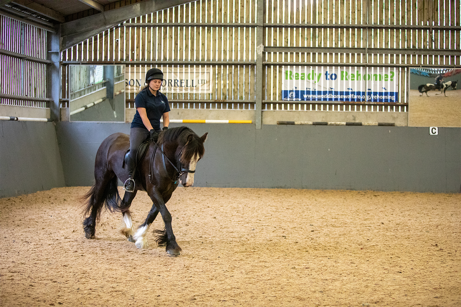 Top tips for horse owners returning to the office