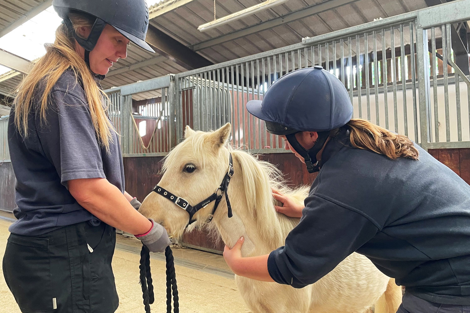 How to help a needle-shy horse overcome their fear