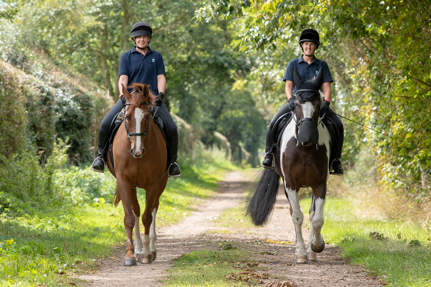Welfare Wednesday Webinars return and consider how rider balance affects horses