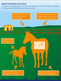 Graphic illustrating benefits of equine ID regulations