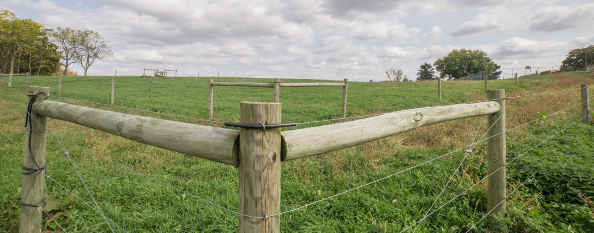 strain line wire fence