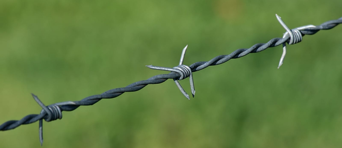 barbed wire fence