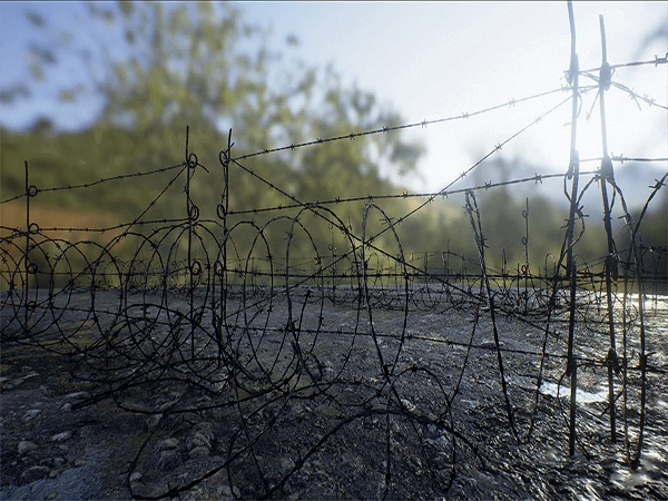 security wire