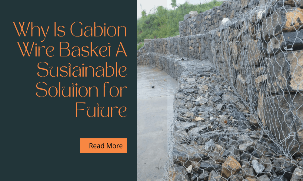05dbf220 why is gabion wire basket a sustainable solution for future 副本