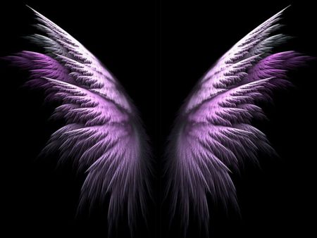 Purple Wings