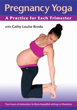 Pregnancy Yoga by Cathy Broda Book