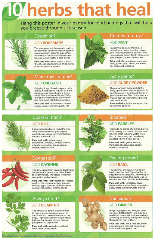 Healing Herbs for Women - Natural Ways to Heal
