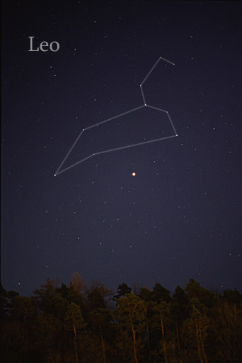 Constellation Leo