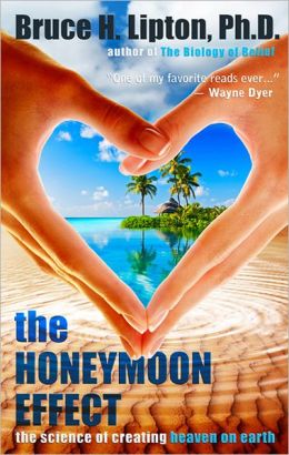 honeymoon effect by bruce lipton book