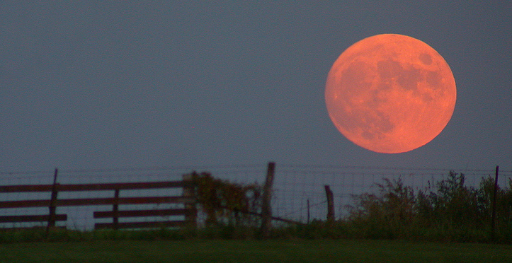 Harvest full  fall moon