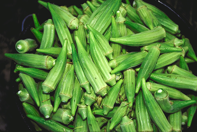 We Call It Ochro in Guyana and Okra One of My Favorite Foods! Nutritional Benefits & Recipe