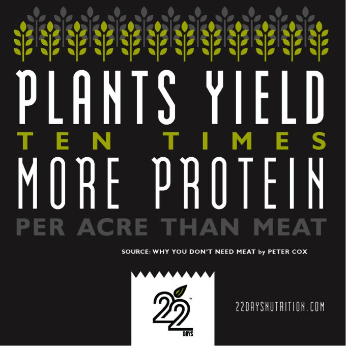 vegan facts protein