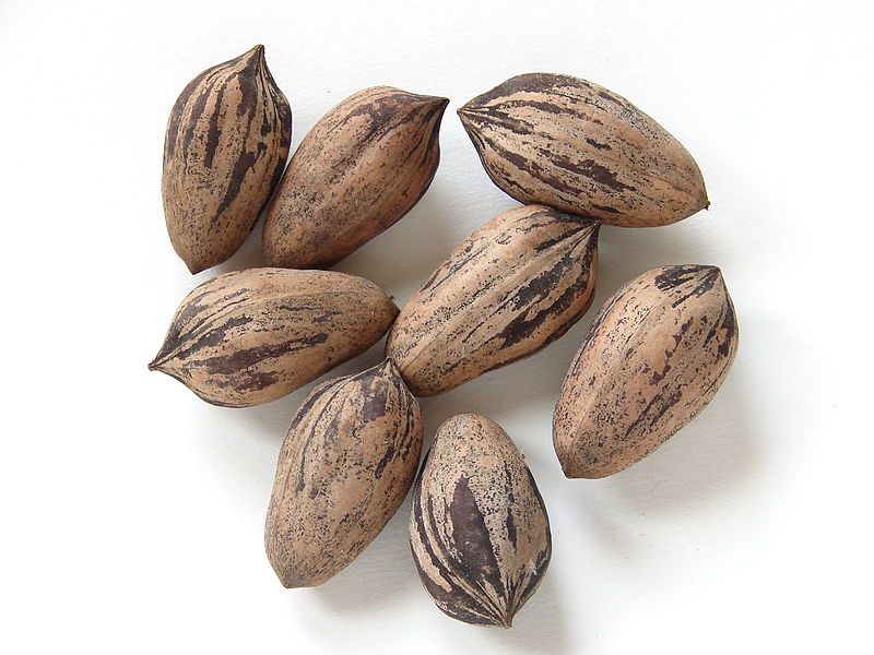 pecans