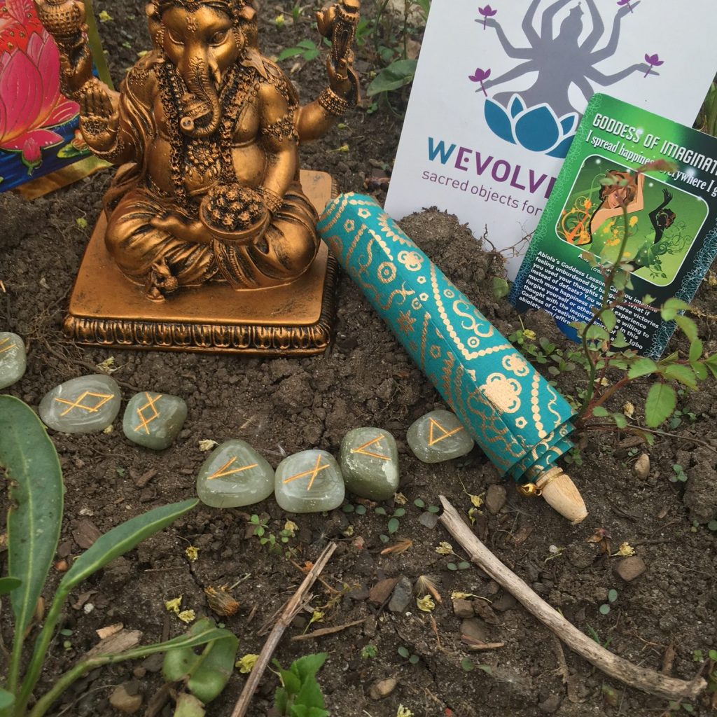 Wevolve Box - Seeds of Intention Box