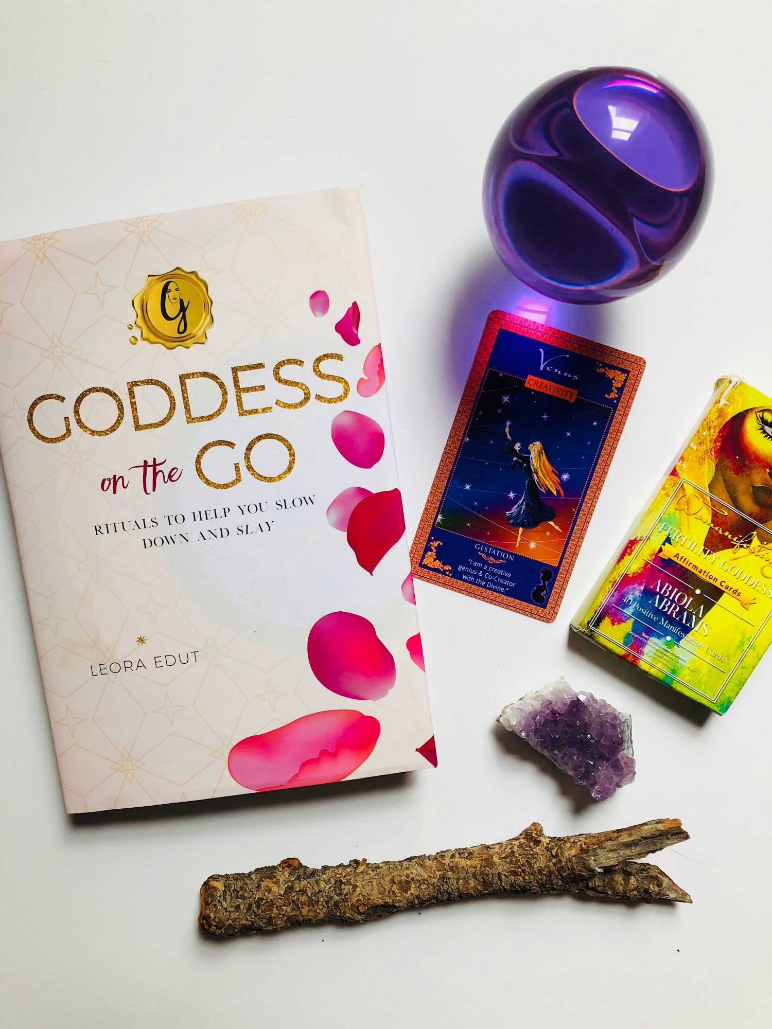 Goddess on the Go by Leora Edut