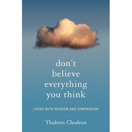 book - don't believe everything you think