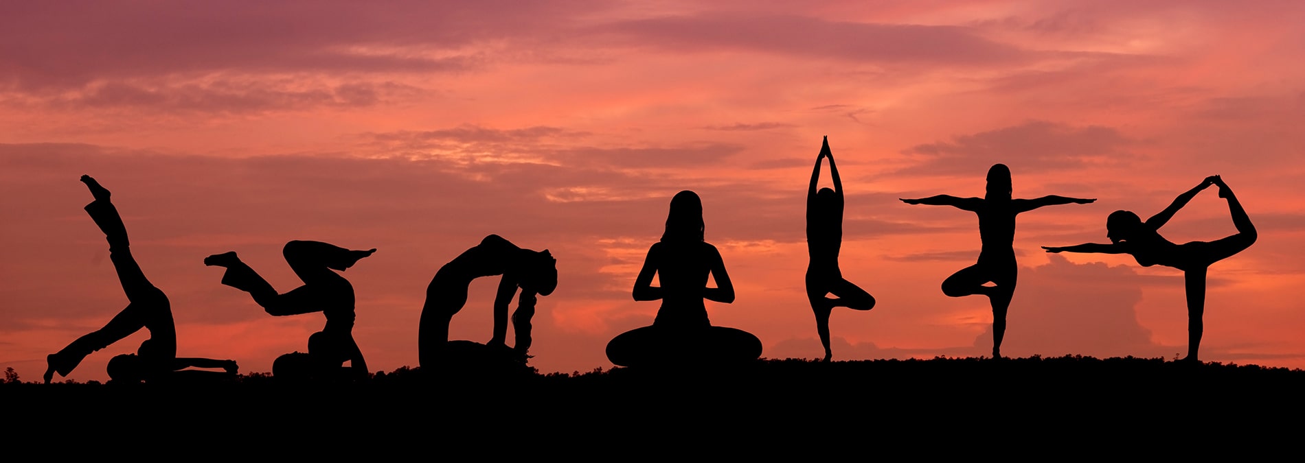yoga wellness fitness