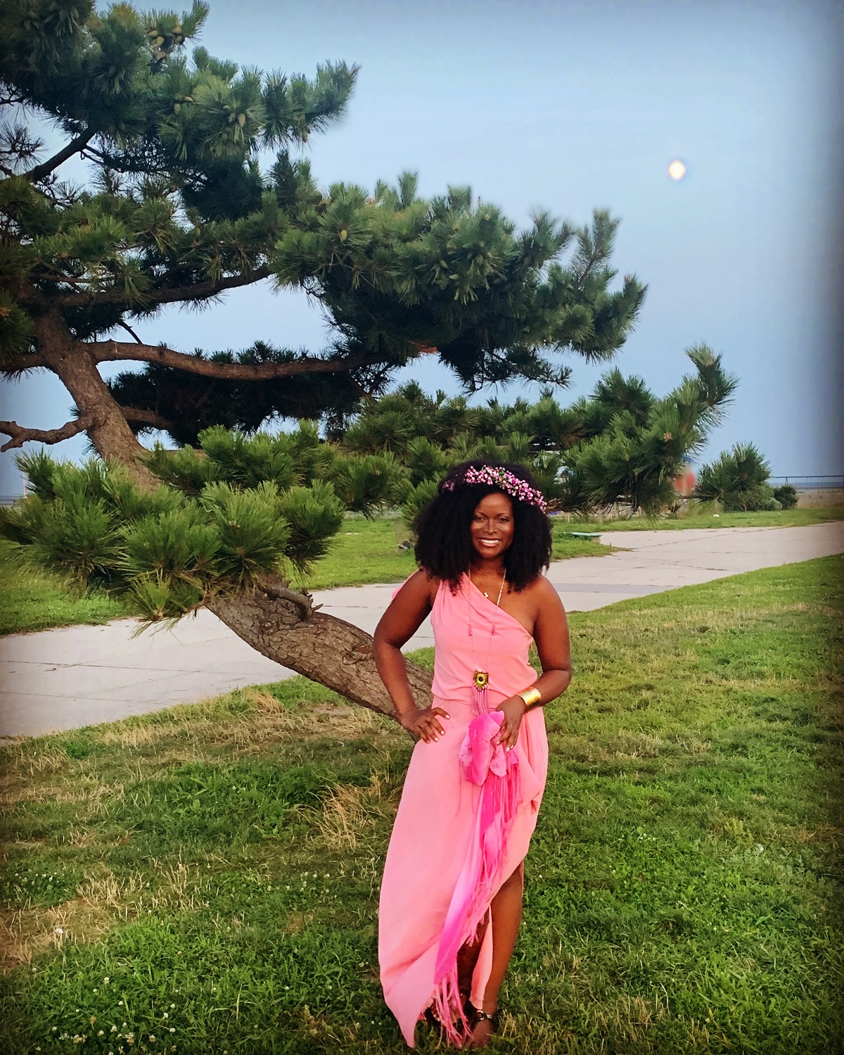 Abiola Abrams full moon daylight sm Pink full moon - Abiola Abrams