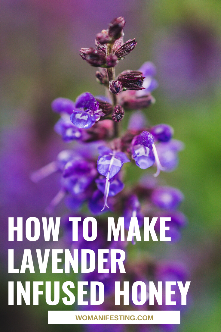 How to Make Lavender Infused Honey (1)