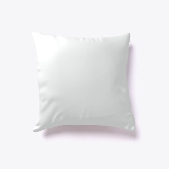 Official Spiritpreneur® Pillow (White) - back