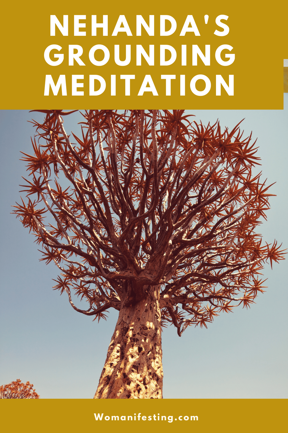 Nehanda's Meditation Mbuya Nehanda's Meditation