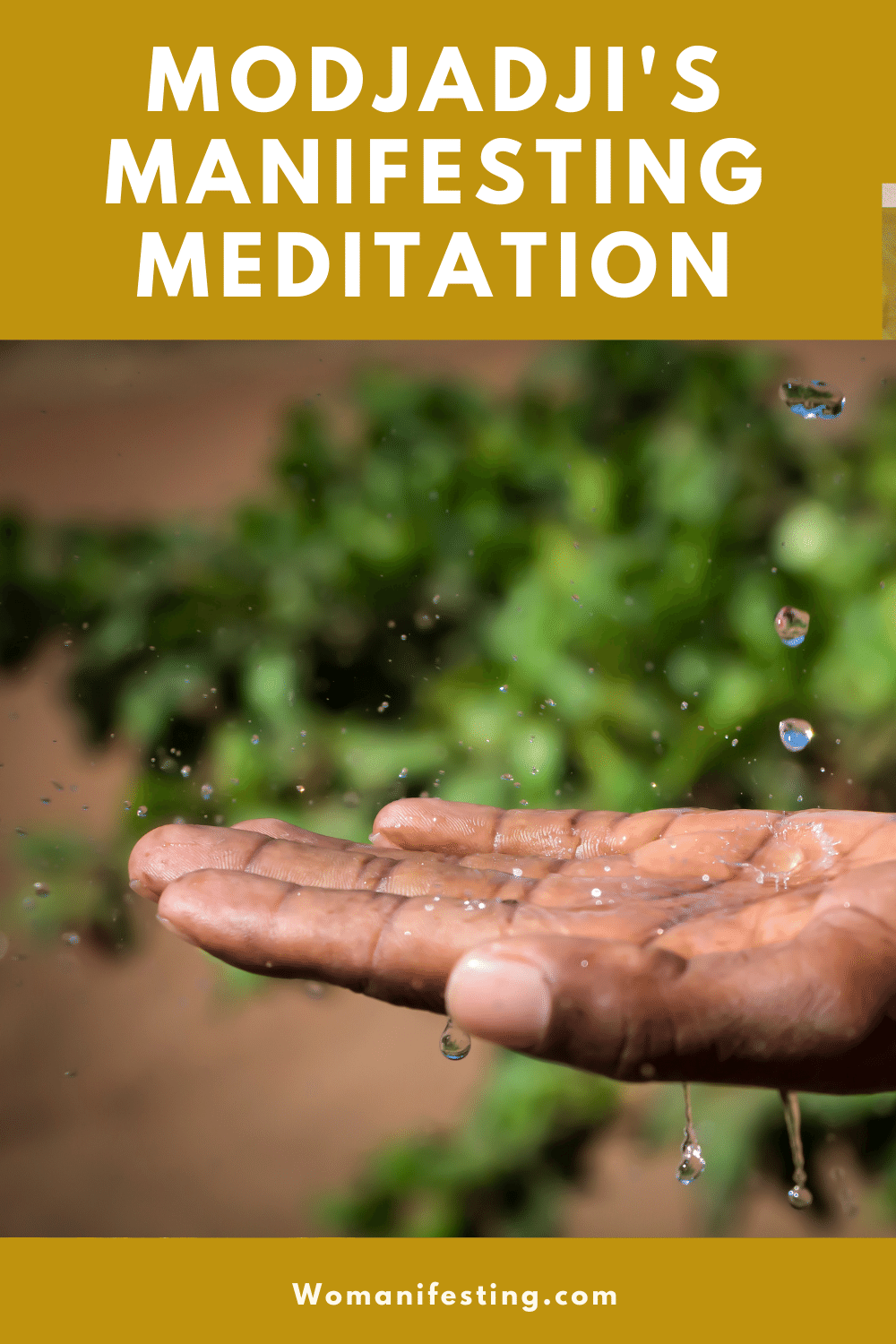 Modjadji's Manifesting Meditation Modjadji's Manifesting Meditation