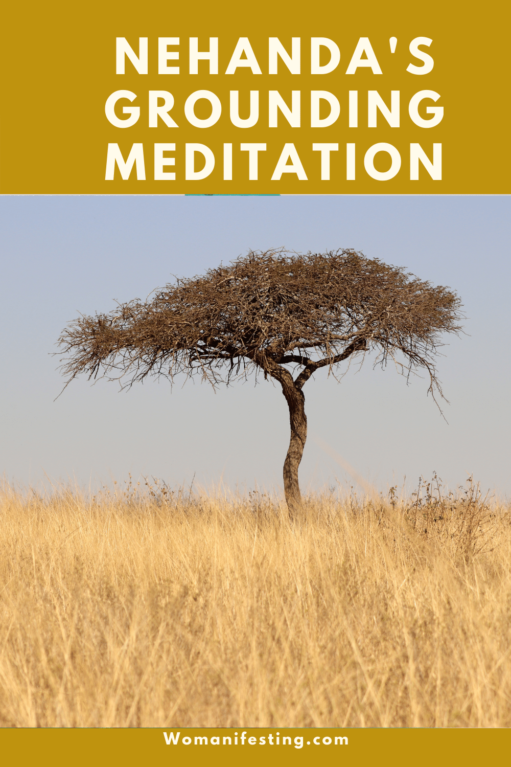 Nehanda Grounding Meditation - Mbuya