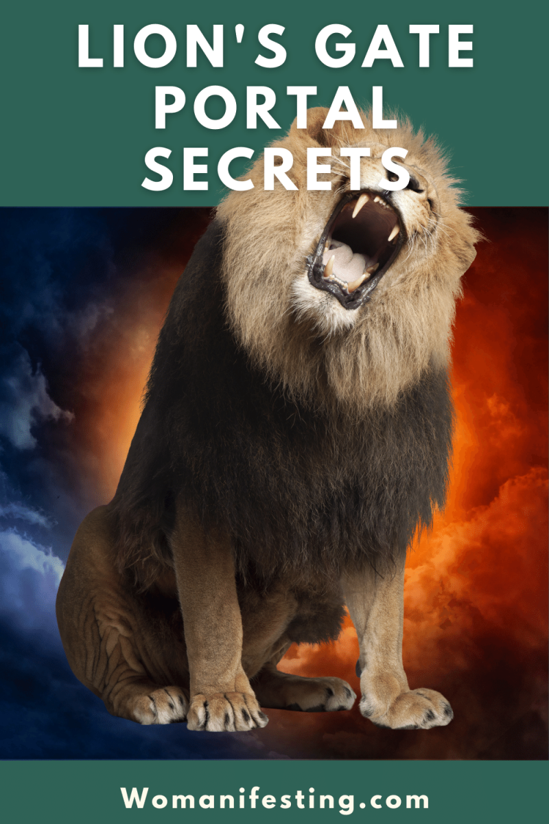 Manifesting Meditation: Lion's Gate Portal & Leo New Moon [Video]
