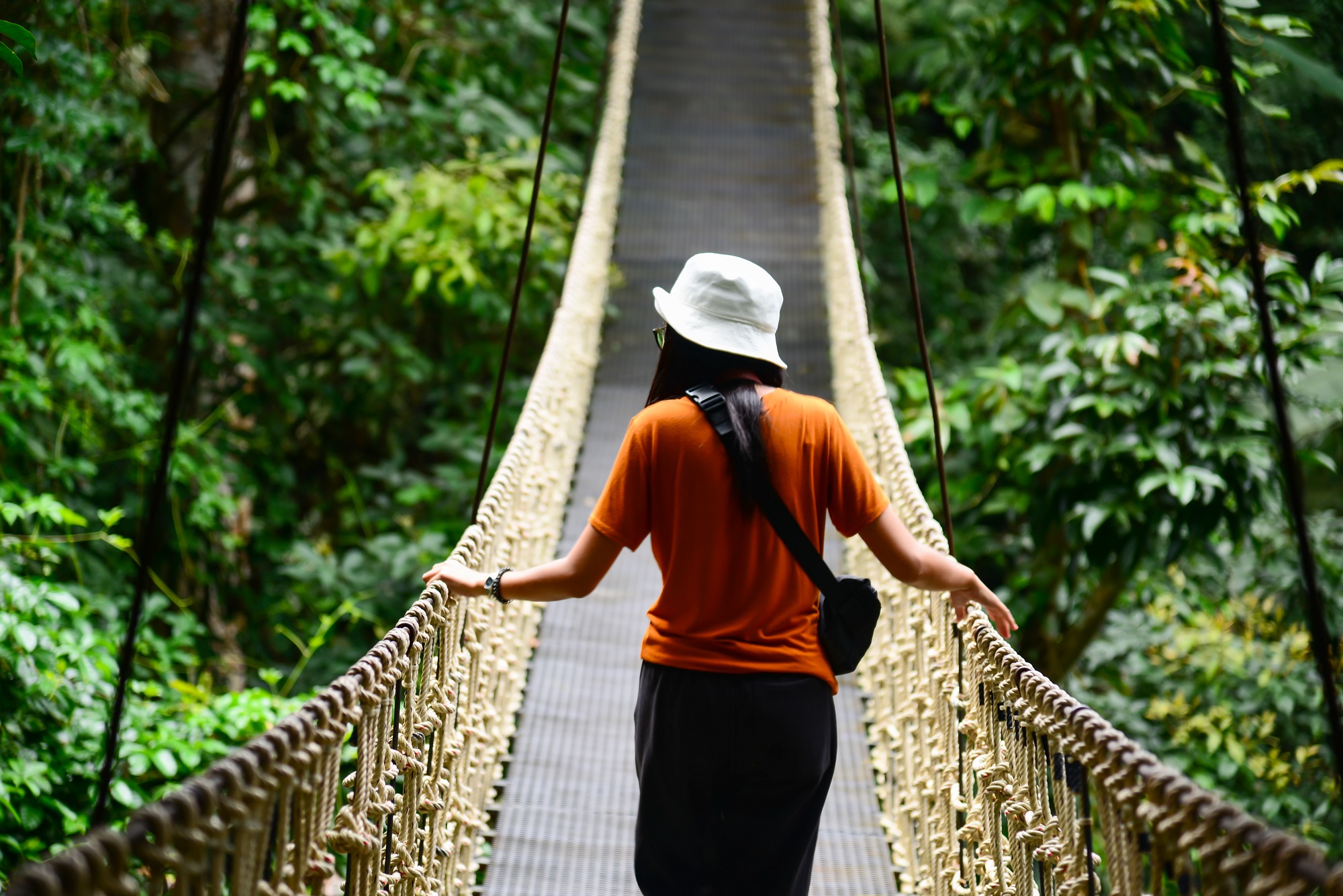 Tourist woman walking in Bridge Rainforest Suspension bridge, Cr Belize Retreat