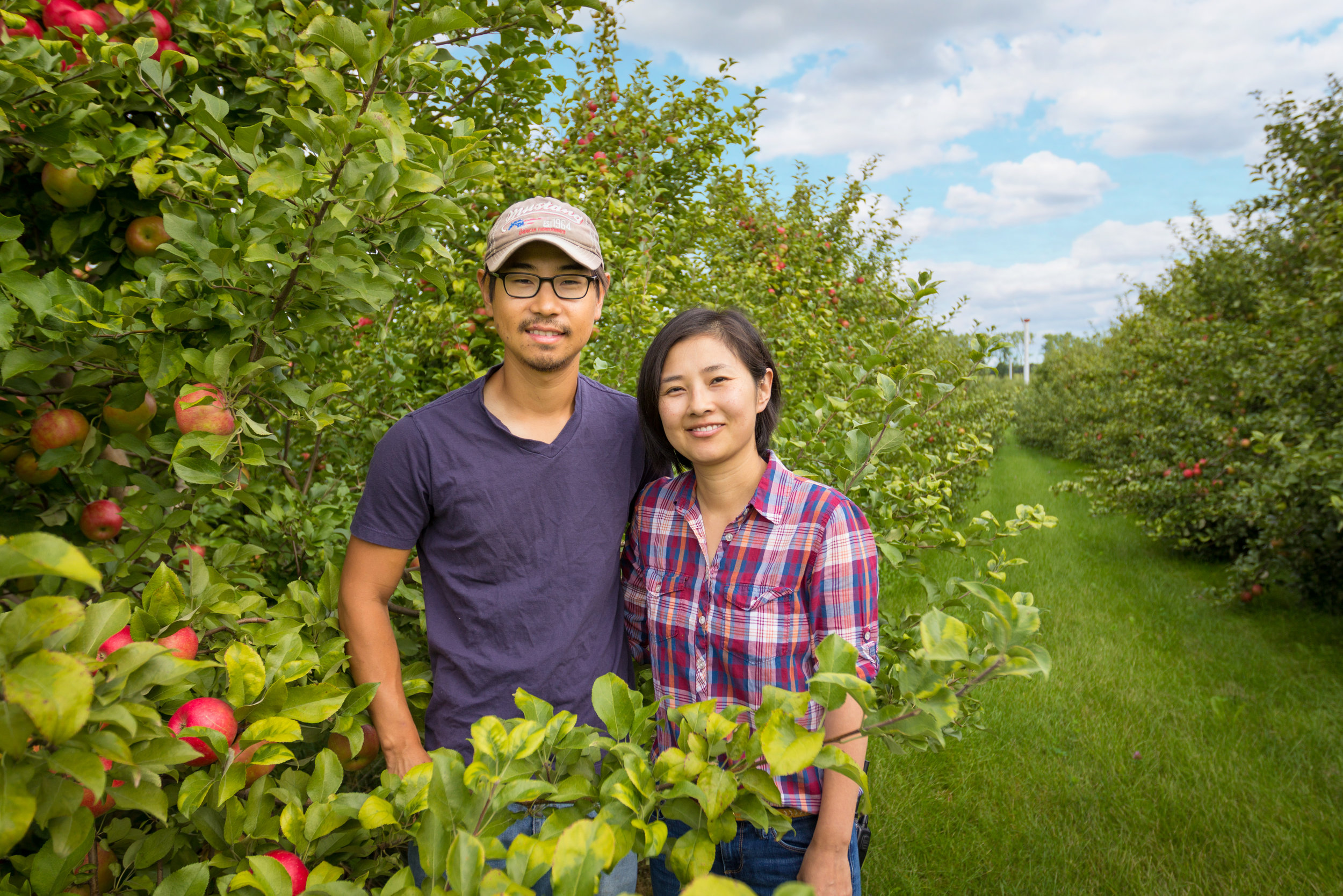 All Seasons Orchard