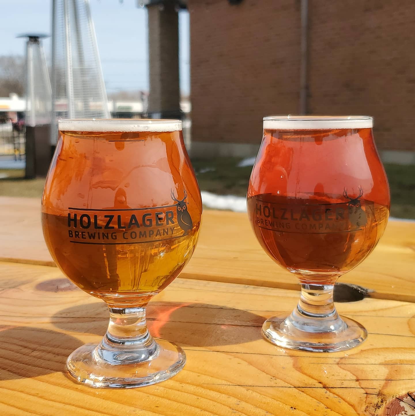 Houseplant Happy Hour ~ Holzlager Brewing Company