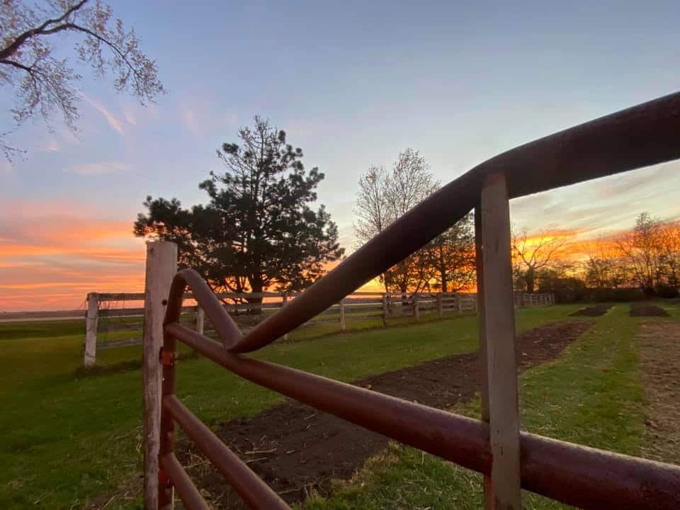 Dented Gate Flower Farm