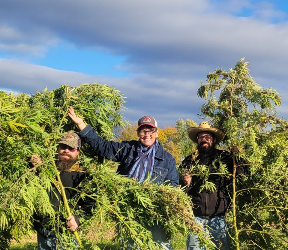 Black Friday Trim Party at Hempstock Pharm