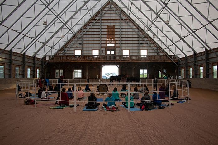 Horse, Yoga, Gong + Meditation