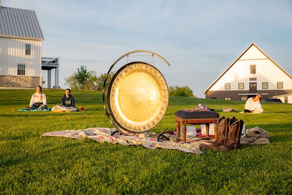 Gong in the Grass