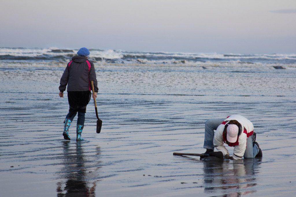 Razor Clam Digging Tides and Tips - Washington State Parks Foundation