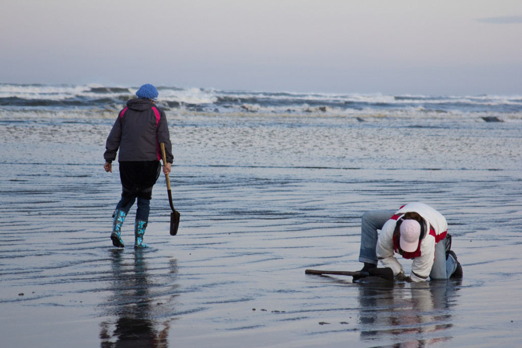 Razor Clam Digging Tides and Tips Washington State Parks Foundation