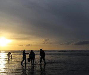 Razor Clamming for Survival in the 1920s and 1930s – HELP MAKE THE