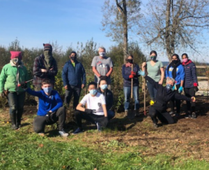 Volunteers mulching and planting native plants at Lake Sammamish State Park